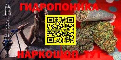 мдпв Гатчина
