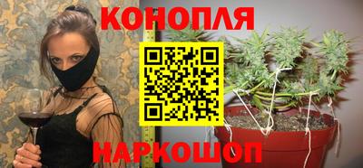мдпв Гатчина