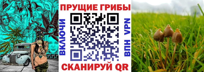 Галлюциногенные грибы мицелий  Ялта 